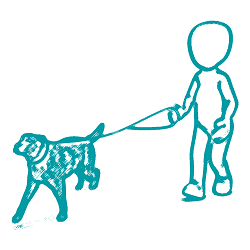 Hundebetreuung (+50,00 Euro)