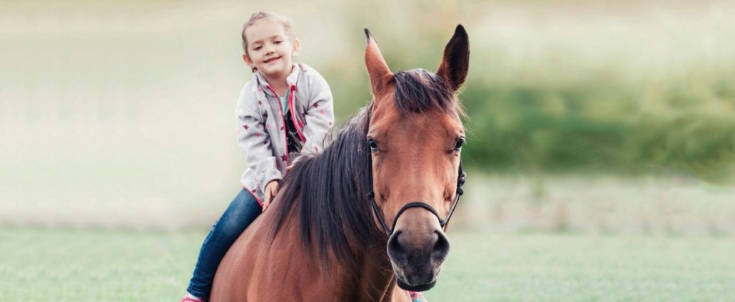 Berufshaftpflichtversicherung für tiergestützte Coaches
