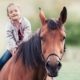 Berufshaftpflichtversicherung für tiergestützte Coaches